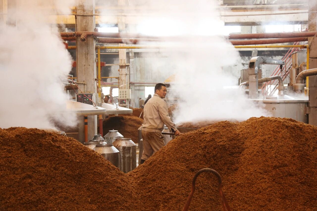 微信圖片_20260127090243.jpg 微信圖片_20260127090243.jpg